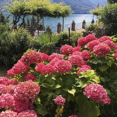 Peroni - Vintage Lejlighed *