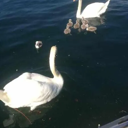 Lejlighed Peroni - Vintage Argegno