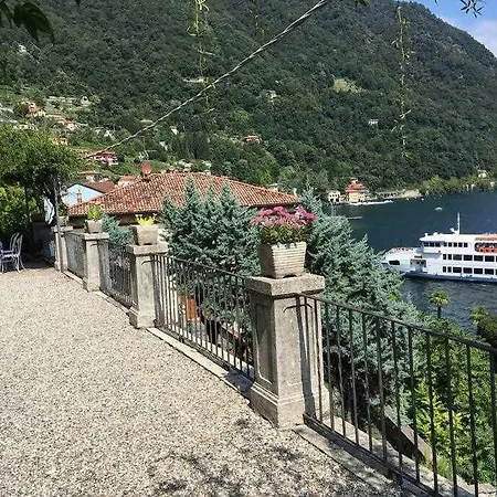 Peroni - Vintage アルジェーニョ