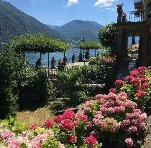 Peroni - Vintage アパート アルジェーニョ